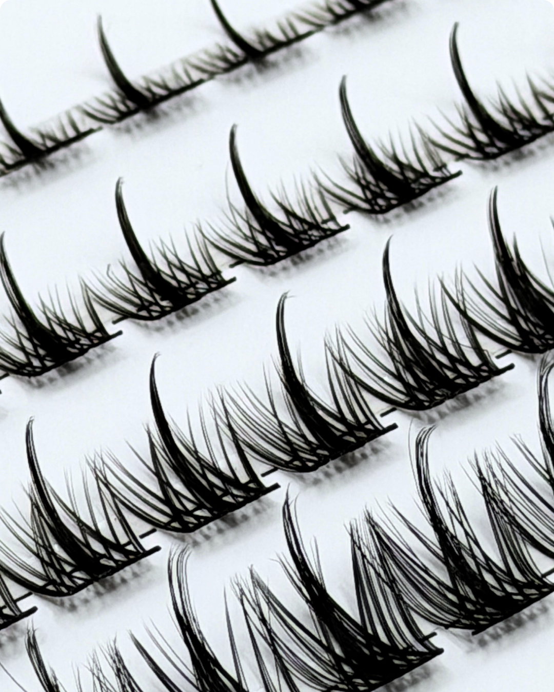 Tahlia Cluster Lashes